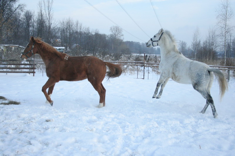 IMG_1596.jpg1.jpg"%20height="533"%20width="800